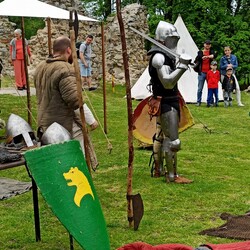 Słowianie w ruinach zamku rudzkiego