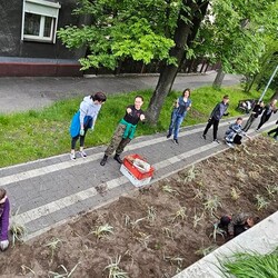 Roślinna (r)ewolucja na plantach w Kochłowicach