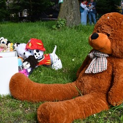 XIII Festyn Rodzin Zastępczych