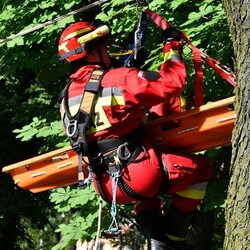 Bajkowy Dzień Dziecka