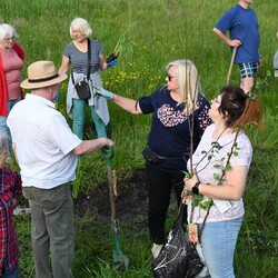 Sadzenie roślin Bykowina
