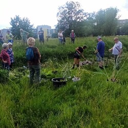 Sadzenie roślin Bykowina