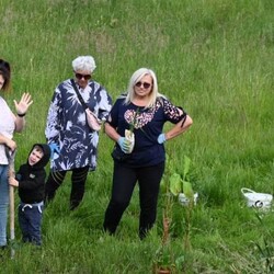 Sadzenie roślin Bykowina