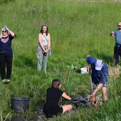 Sadzenie roślin Bykowina