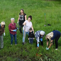 Sadzenie roślin Bykowina