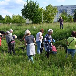 Sadzenie roślin Bykowina