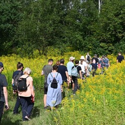 Festiwal "Miedzianka po Drodze" preludium
