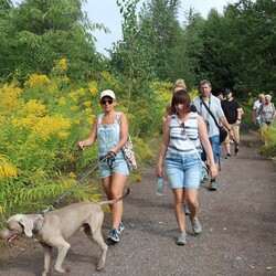 Festiwal "Miedzianka po Drodze" preludium