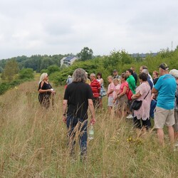 Festiwal "Miedzianka po Drodze" preludium