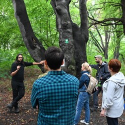 Miedzianka Po Drodze