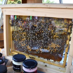 Piknik przy piekaroku