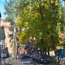 Jesień w Rudzie Śląskiej