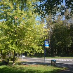 Jesień w Rudzie Śląskiej