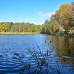 Jesień w Rudzie Śląskiej