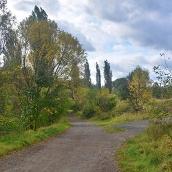 Jesień w Rudzie Śląskiej