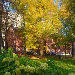 Jesień w Rudzie Śląskiej