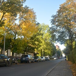 Jesień w Rudzie Śląskiej