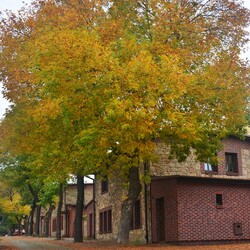Jesień w Rudzie Śląskiej