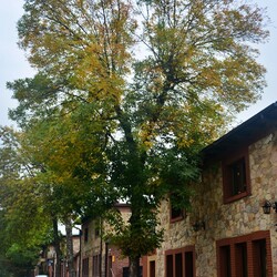 Jesień w Rudzie Śląskiej