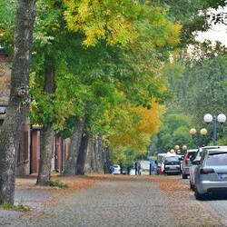 Jesień w Rudzie Śląskiej