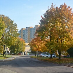 Jesień w Rudzie Śląskiej