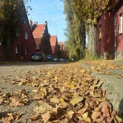 Jesień w Rudzie Śląskiej