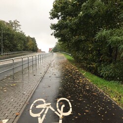 Jesień w Rudzie Śląskiej