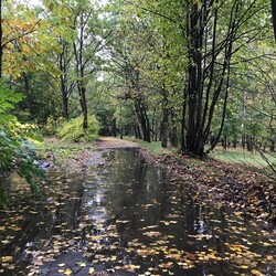 Jesień w Rudzie Śląskiej