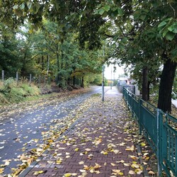 Jesień w Rudzie Śląskiej