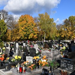 Wszystkich Świętych 2023