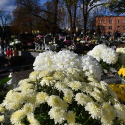 Wszystkich Świętych 2023