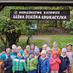 Jesień w Miejskim Przedszkolu nr 32