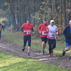 XXX Biegi Niepodległości