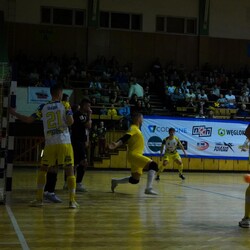 PKO Gwiazda Ruda Śląska vs Silesia Box Siemianowice Śląskie!