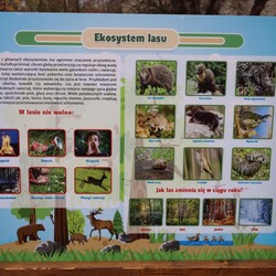 Otwarcie zewnętrznych pracowni przy SMS