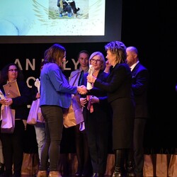 Anioły Wolontariatu