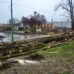 Modernizacja torowiska na pętli Chebzie