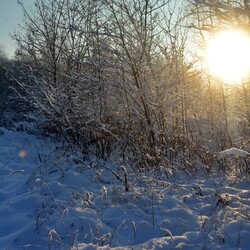 Zimowa Ruda Śląska