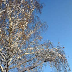 Zimowa Ruda Śląska