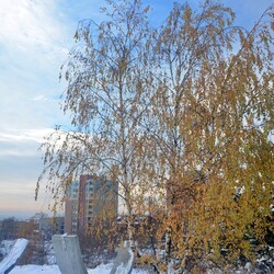 Zimowa Ruda Śląska