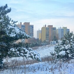 Zimowa Ruda Śląska