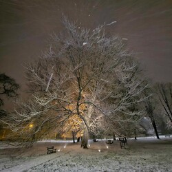 Zimowa Ruda Śląska