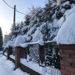 Zimowa Ruda Śląska