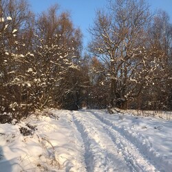 Zimowa Ruda Śląska