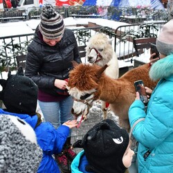 Świąteczny Konwój Radia Zet