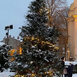 Strojenie Choinki w Kochłowicach