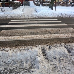 Akcja Zima w praktyce