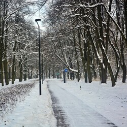 Akcja Zima w praktyce