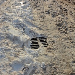 Akcja Zima w praktyce