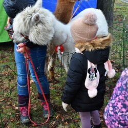 Świąteczne Kochłowice 2.0